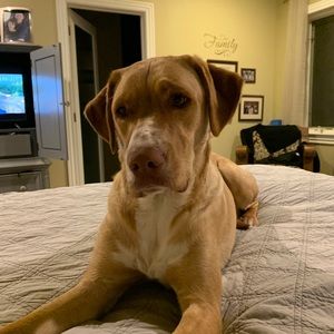 Meet your Posher, Kim